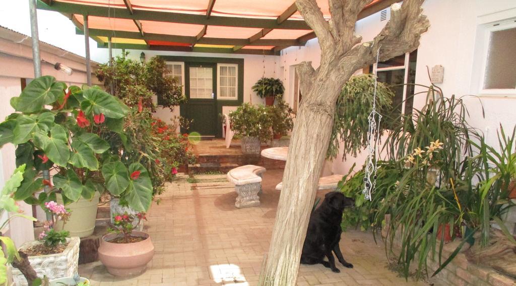 Van Rhyn Guest House Vanrhynsdorp Екстериор снимка
